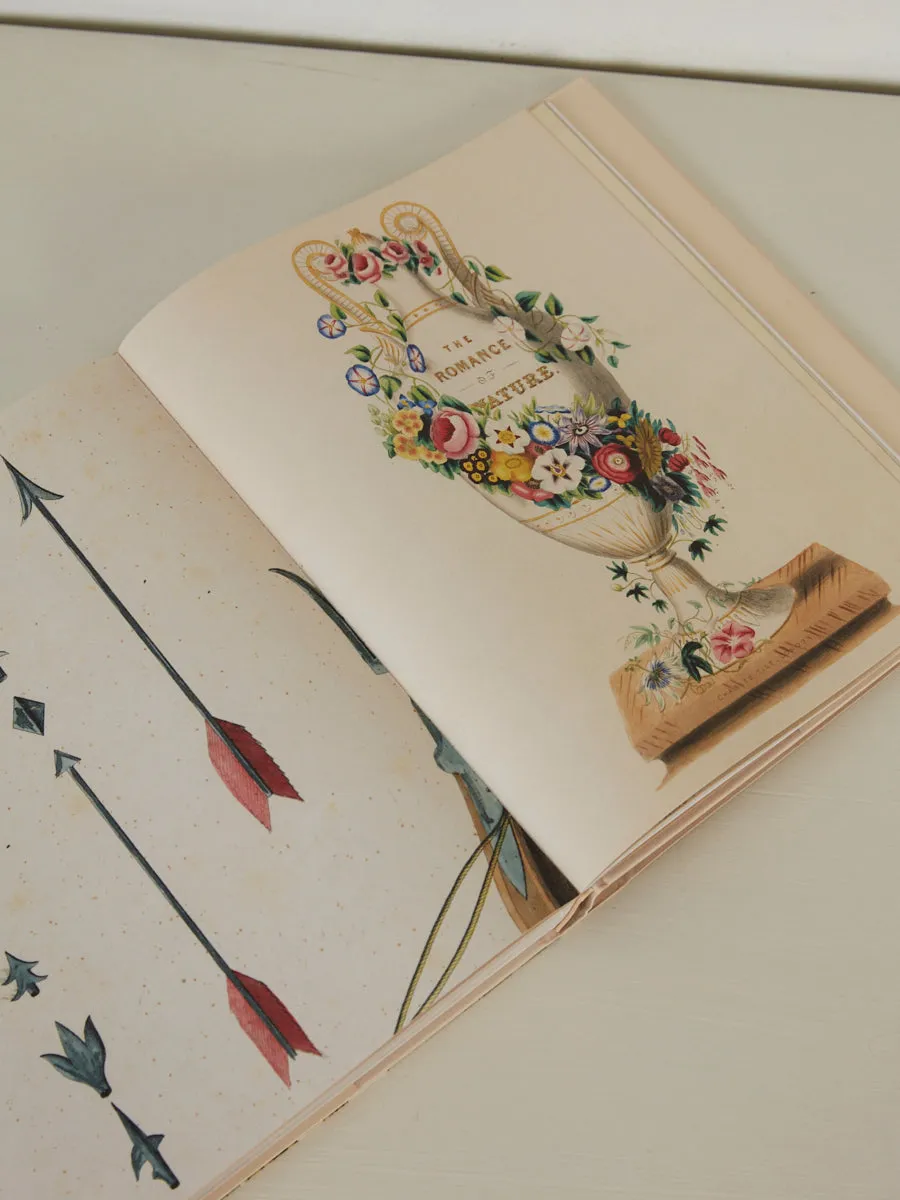 John Derian Picture Book II